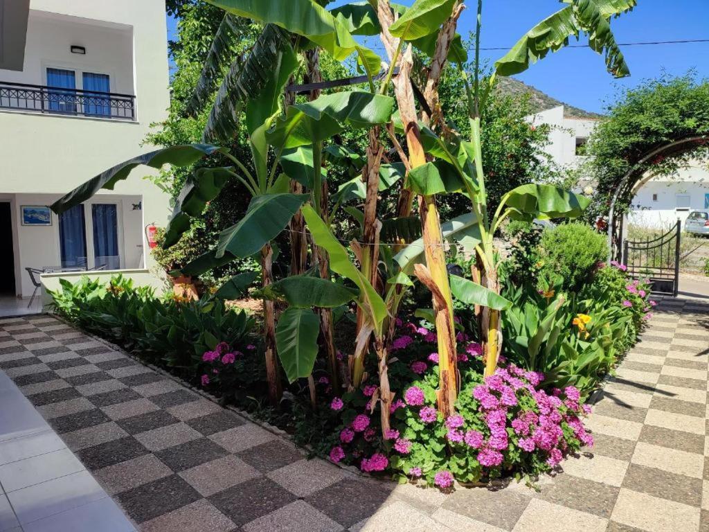 Dorian Bali Apartments Zewnętrze zdjęcie